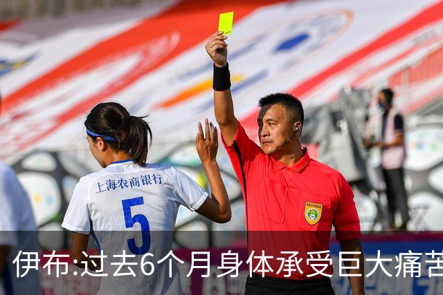 伊布:过去6个月身体承受巨大痛苦 只为帮球队夺冠