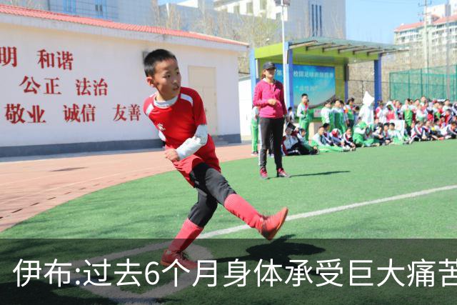 伊布:过去6个月身体承受巨大痛苦 只为帮球队夺冠